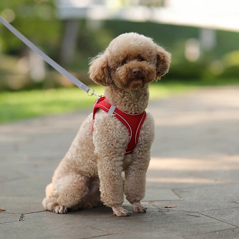 Harnais anti traction chien - Rouge  CloudNess