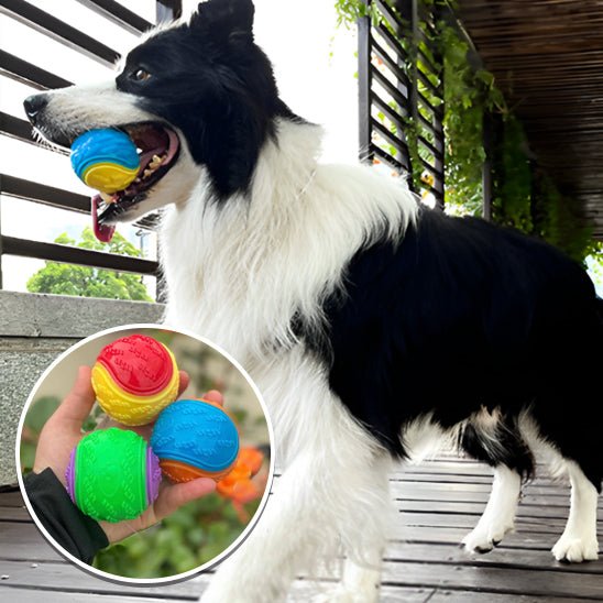 Balle pour Chien | BounceBuddy - Dognpuppytoys