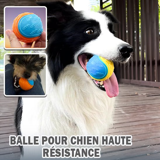 Balle pour Chien | BounceBuddy - Dognpuppytoys