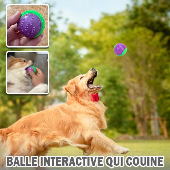 Balle pour Chien | BounceBuddy - Dognpuppytoys