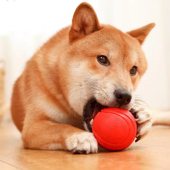 Balle pour chien - Le jouet indestructible - Dognpuppytoys