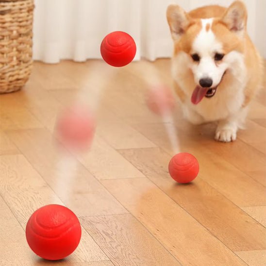Balle pour chien - Le jouet indestructible - Dognpuppytoys