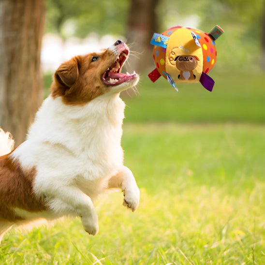 Balle pour chien pawroll - Dognpuppytoys