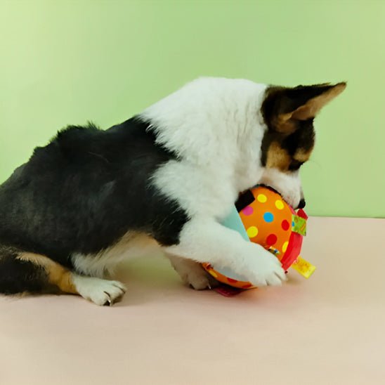 Balle pour chien pawroll - Dognpuppytoys
