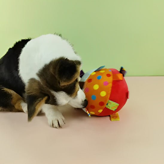 Balle pour chien pawroll - Dognpuppytoys