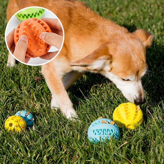 Balle pour chien - PawsBrush - Dognpuppytoys