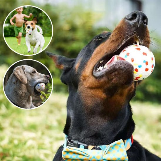 balle pour chien - SolidPlay™ - Dognpuppytoys