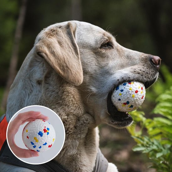 balle pour chien - SolidPlay™ - Dognpuppytoys