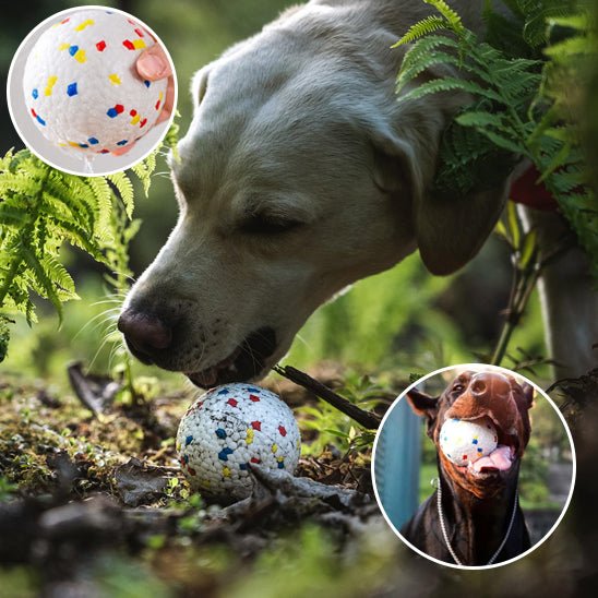 balle pour chien - SolidPlay™ - Dognpuppytoys