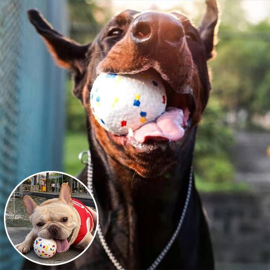 balle pour chien - SolidPlay™ - Dognpuppytoys