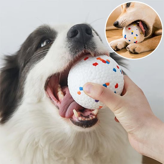 balle pour chien - SolidPlay™ - Dognpuppytoys