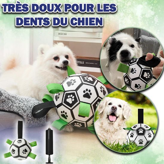 Ballon de foot pour chien | FootPaw™ - Dognpuppytoys