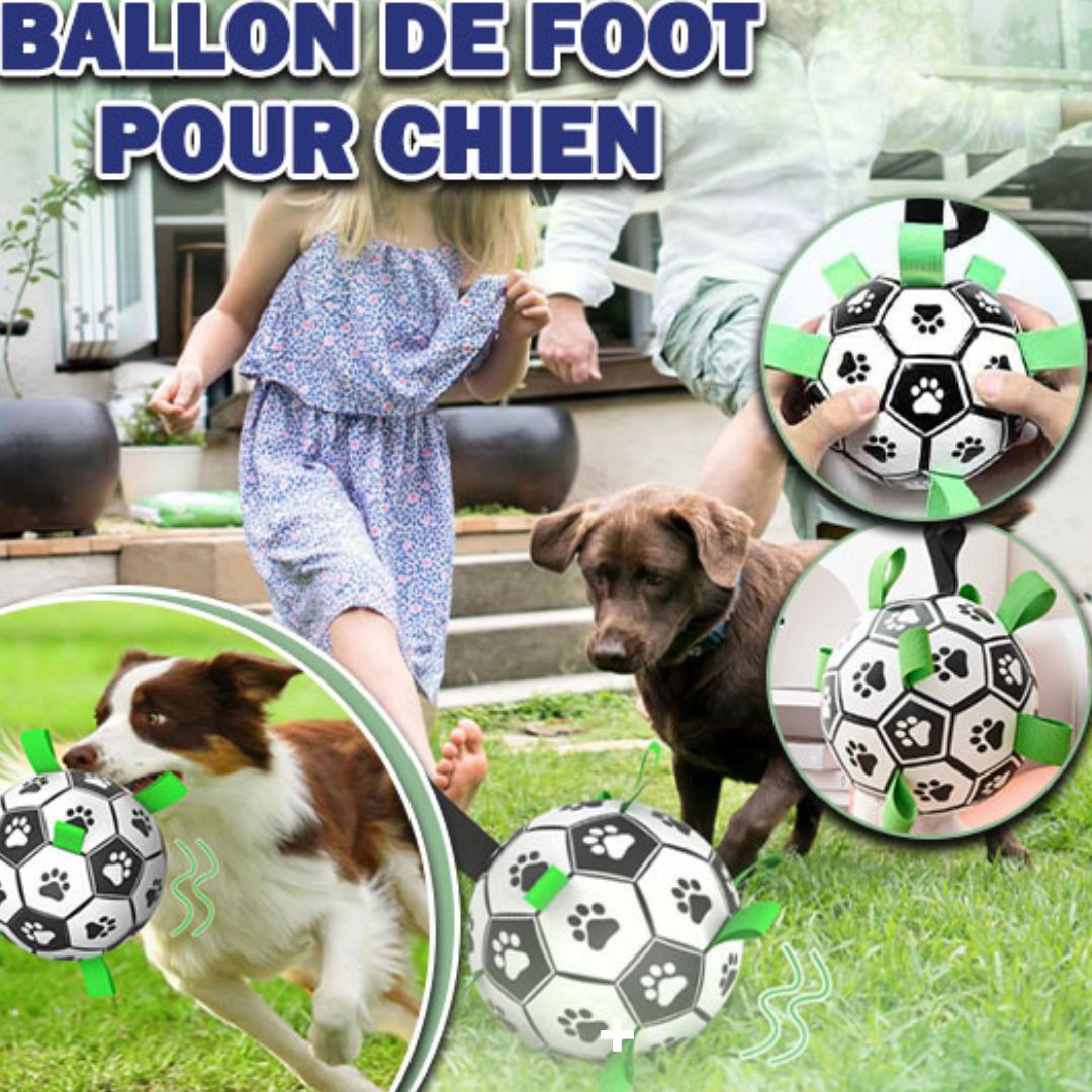 Ballon de foot pour chien | FootPaw™ - Dognpuppytoys