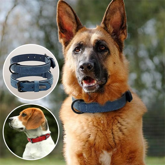 Collier chien cuir - Dognpuppytoys