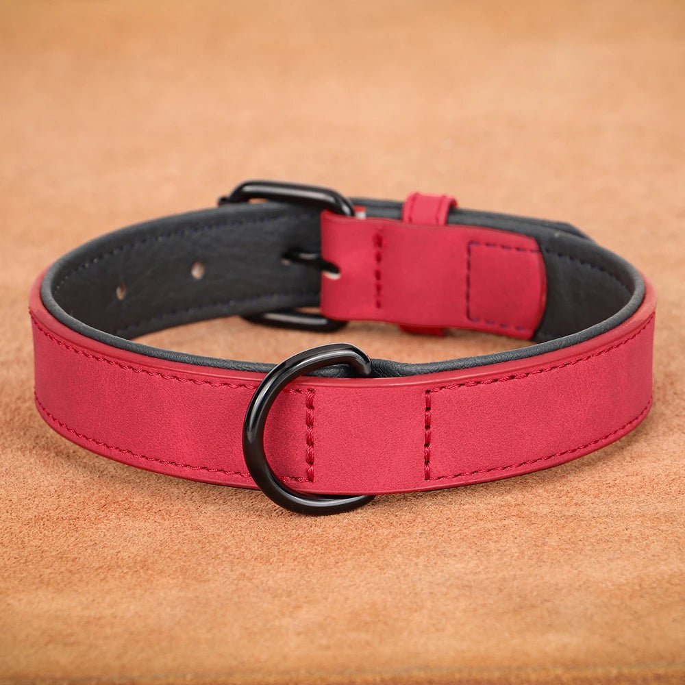 Collier chien cuir - Dognpuppytoys
