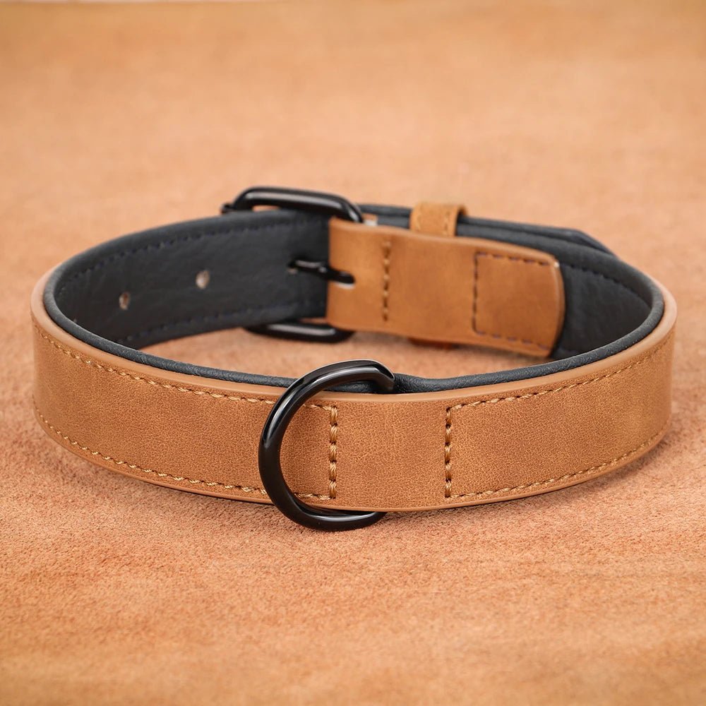 Collier chien cuir - Dognpuppytoys
