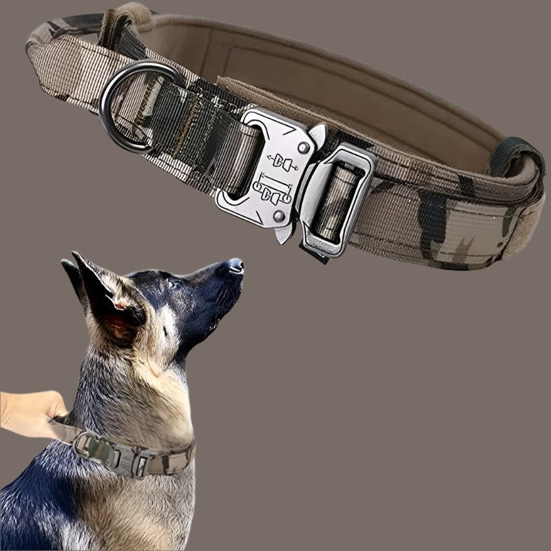 Collier Chien | TactiCollier™ - Dognpuppytoys