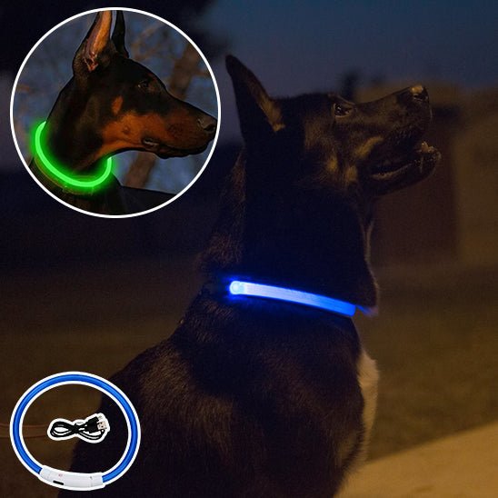 collier lumineux chien | LumiWoofâą - Dognpuppytoys