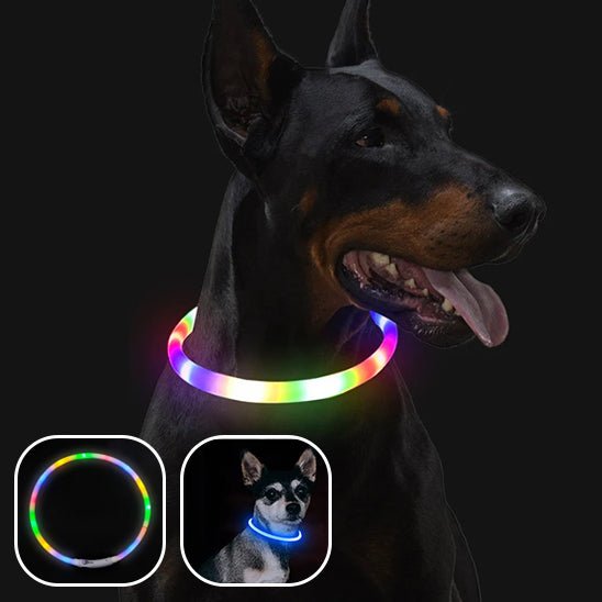 collier lumineux chien | LumiWoofâą - Dognpuppytoys