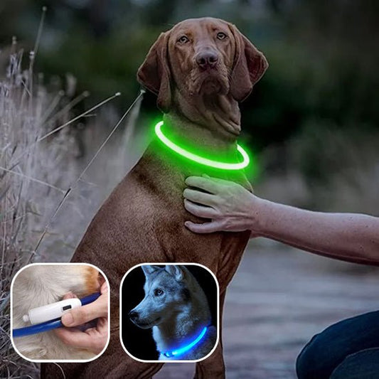 collier lumineux chien | LumiWoof™ - Dognpuppytoys