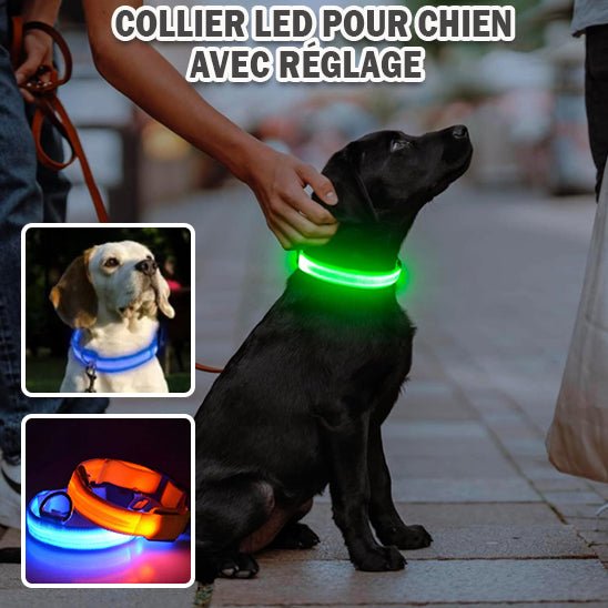 Collier lumineux chien WoofyLight™ | Sécurité, style & visibilité de nuit - Dognpuppytoys
