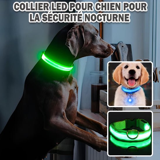 Collier lumineux chien WoofyLight™ | Sécurité, style & visibilité de nuit - Dognpuppytoys