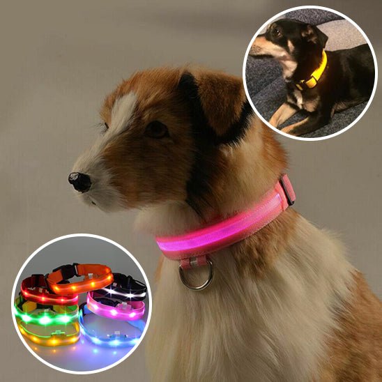 Collier lumineux chien WoofyLight™ | Sécurité, style & visibilité de nuit - Dognpuppytoys