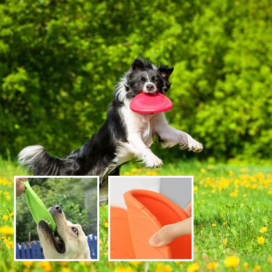 frisbee chien | WoozyPaws™ - Dognpuppytoys