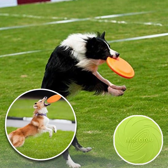 frisbee chien | WoozyPaws™ - Dognpuppytoys