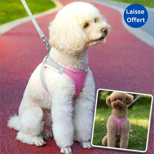 Harnais anti traction chien | CloudMoove - Dognpuppytoys