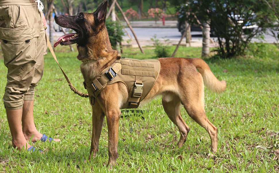 harnais anti traction chien | Paws Army™ - Dognpuppytoys