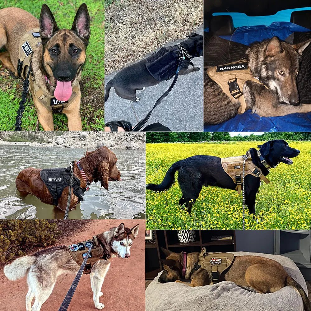 harnais anti traction chien | Paws Army™ - Dognpuppytoys