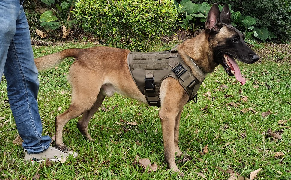 harnais anti traction chien | Paws Army™ - Dognpuppytoys
