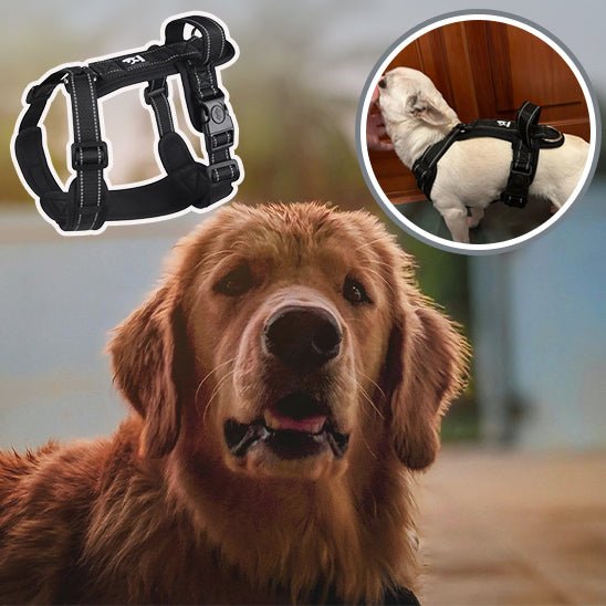 Harnais anti traction | PawsEase™ - Dognpuppytoys