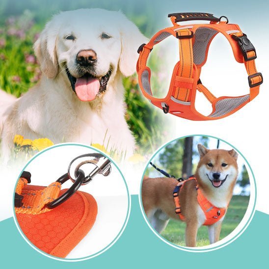 Harnais Anti traction | WalkSoft™ - Dognpuppytoys
