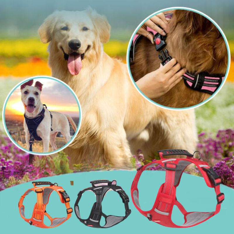 Harnais Anti traction | WalkSoft™ - Dognpuppytoys