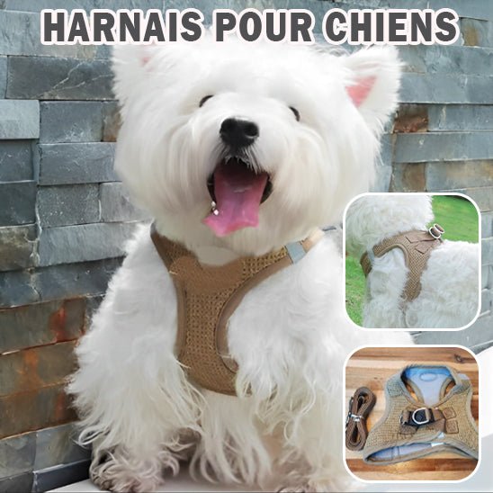 Harnais chien | PupHarness - Dognpuppytoys