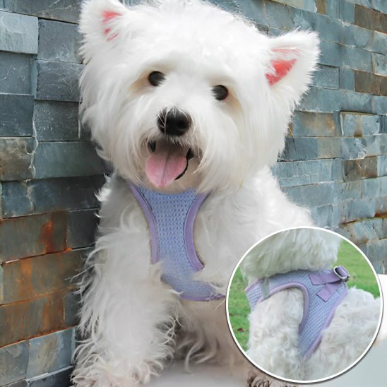 Harnais chien | PupHarness - Dognpuppytoys