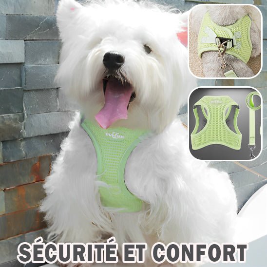 Harnais chien | PupHarness - Dognpuppytoys