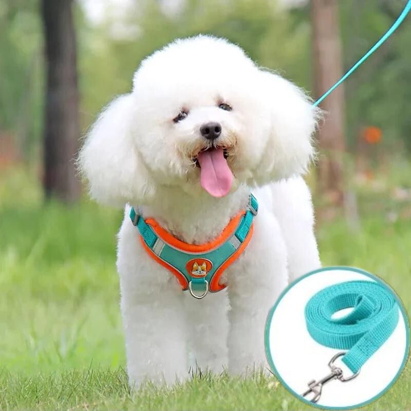 Harnais en Y bleu et orange : YNova™ - Dognpuppytoys