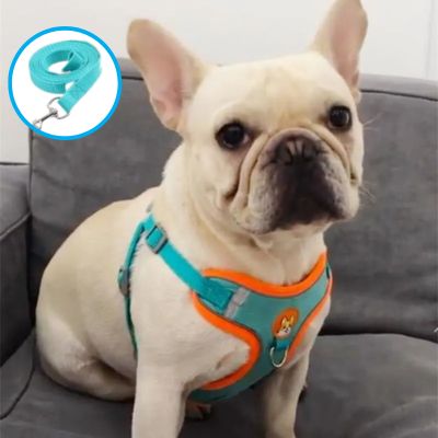 Harnais en Y bleu : YNova™ - Dognpuppytoys