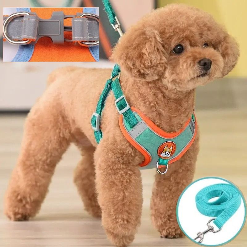 Harnais en Y bleu et orange : YNova™ - Dognpuppytoys