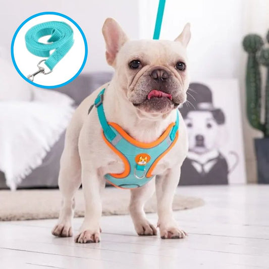 Harnais en Y bleu : YNovaâą  - Dognpuppytoys