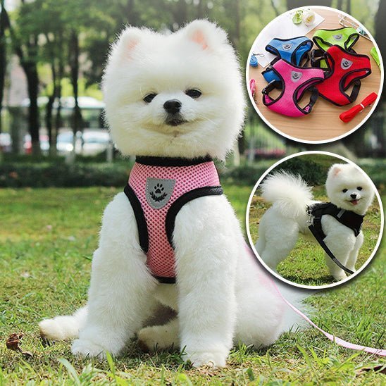 Harnais petit chien | AirNesh™ - Dognpuppytoys