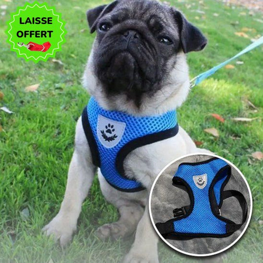 Harnais petit chien | AirNeshâą - Dognpuppytoys