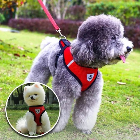 Harnais petit chien | AirNesh™ - Dognpuppytoys