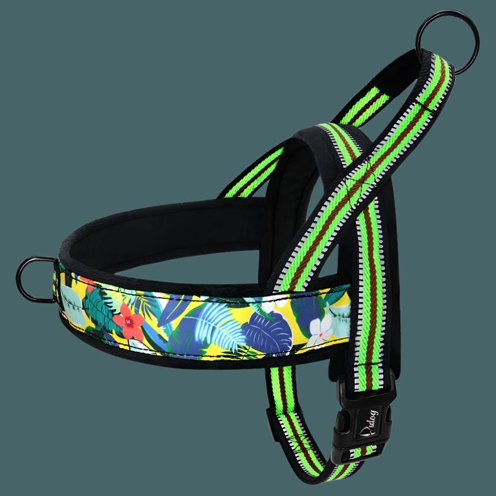 Harnais petit chien / ChiotZen - Dognpuppytoys