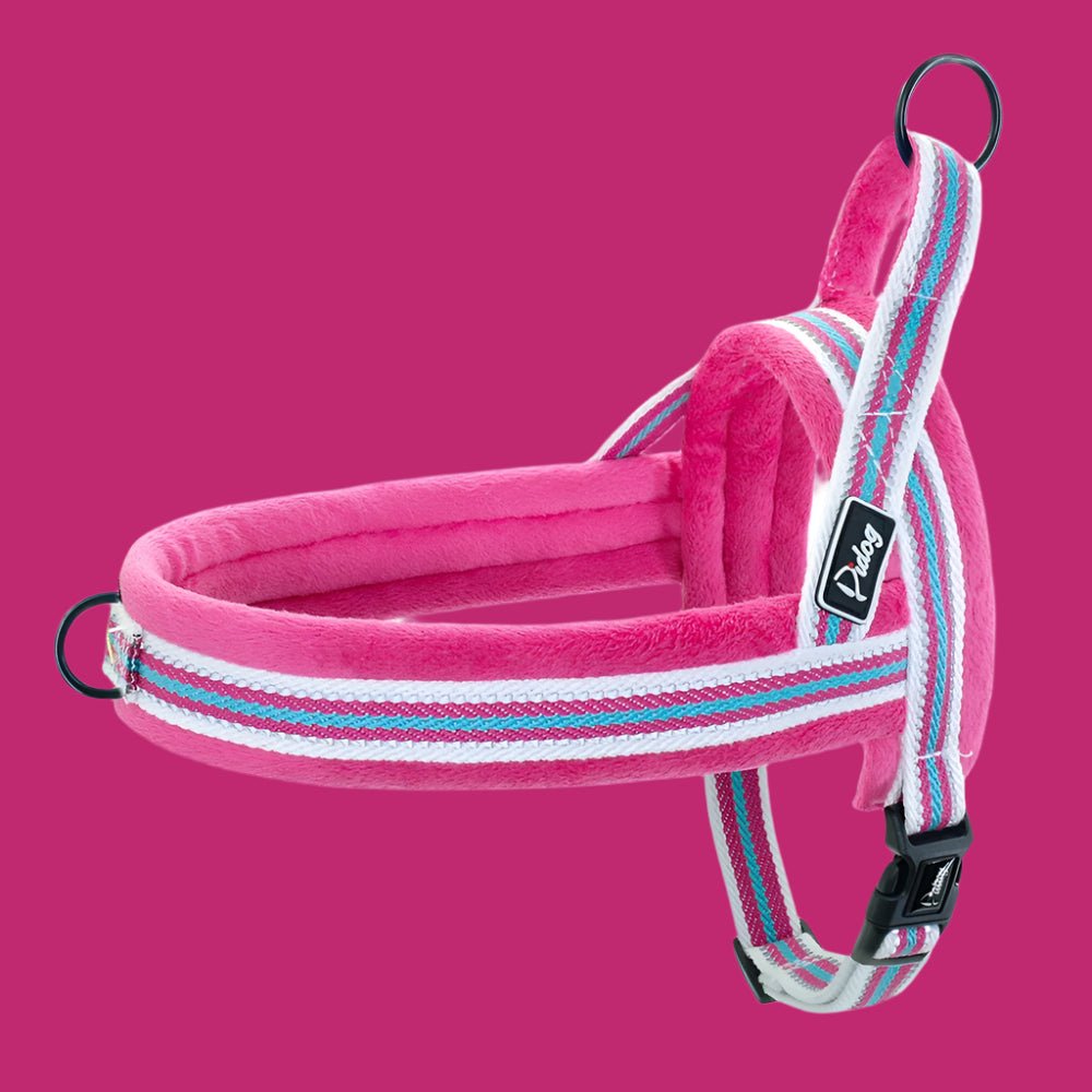Harnais petit chien / ChiotZen - Dognpuppytoys