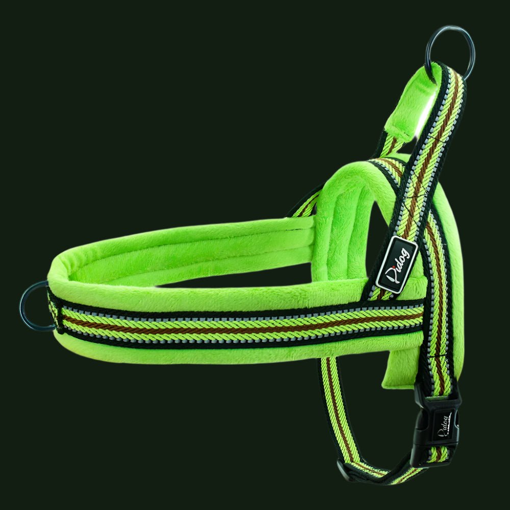 Harnais petit chien / ChiotZen - Dognpuppytoys