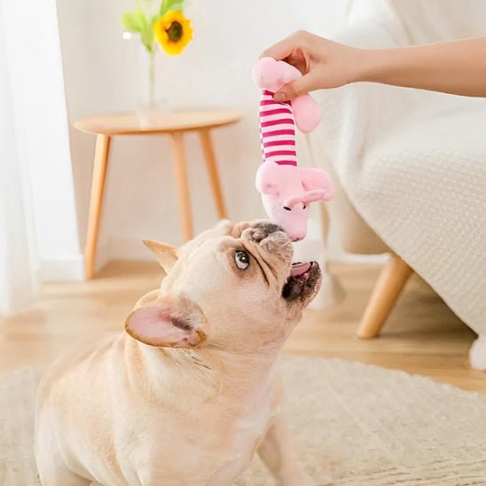 Jouet chien - Combat l'ennui et l'anxiété - Dognpuppytoys